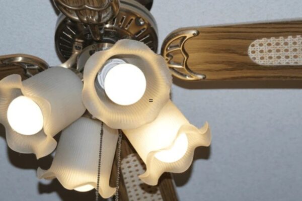 Antique Fans and Cooling Devices from the 1900s (1)