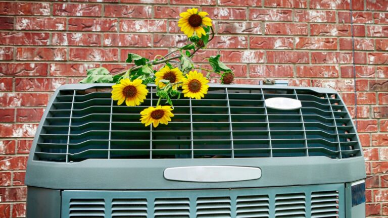 Seasonal Maintenance Tips for Summer Cooling